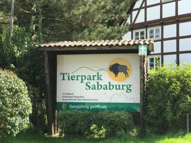 Westlich grenzt der Urwald Sababurg an den Park, der auch vom Aussterben bedrohte Wildtierarten hält.